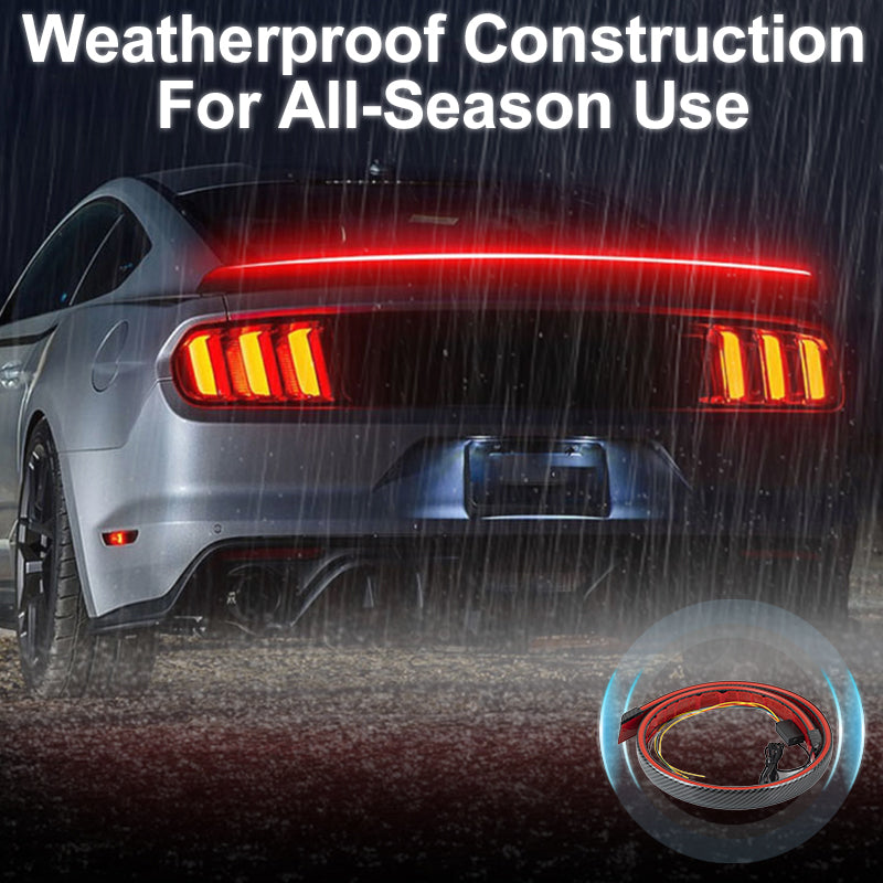 TailLight™ — Lead the way with bright, confident safety lighting