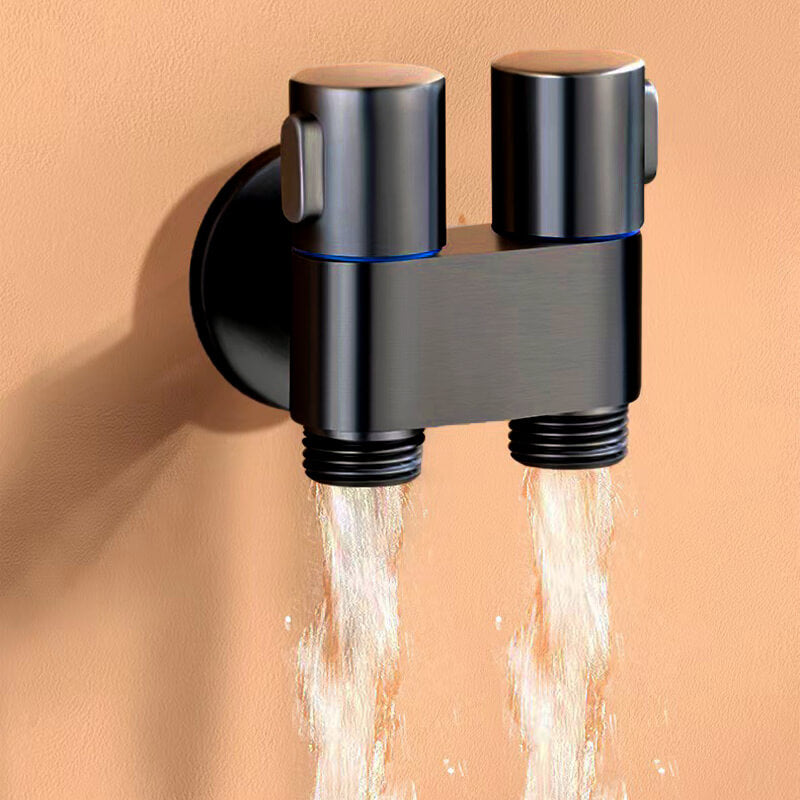 1-in-2 Double Control Valve - Rationalize Your Sanitary Systems