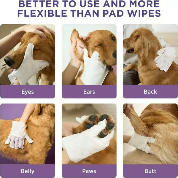 2+2 FREE | PawBreeze™ Grooming Gloves — Instant Pet Care Product for Happier, Cleaner Animals