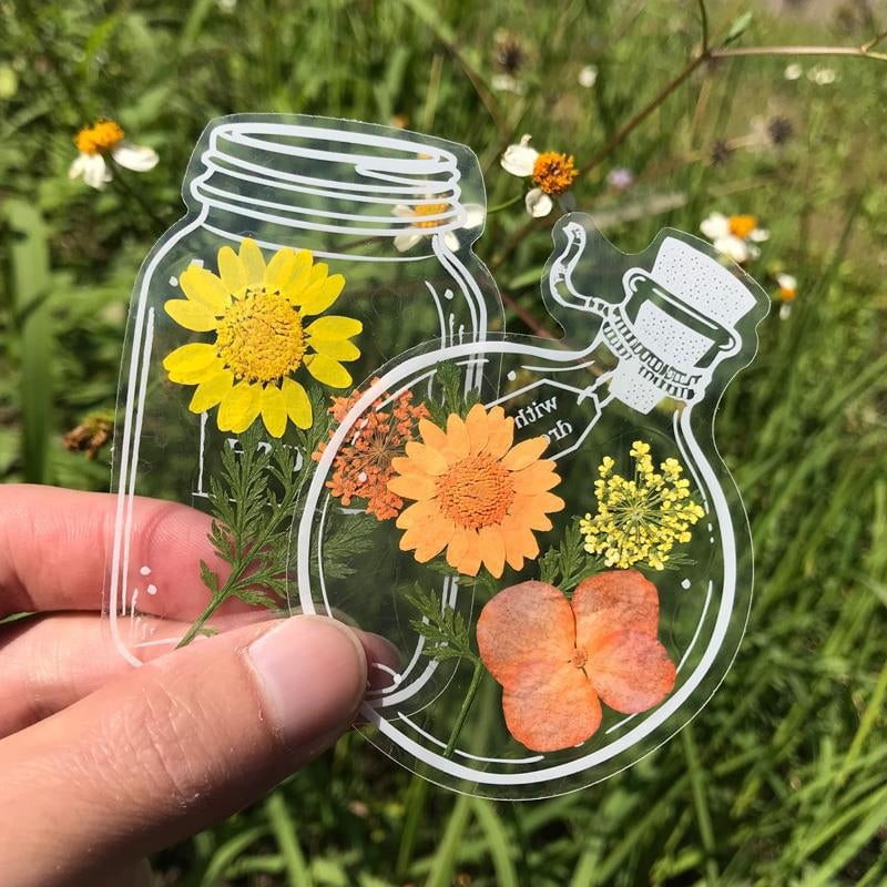 DriedFloral™ — Transform every page into a calm, blooming oasis