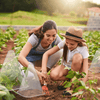 PlantShield™ (10 pieces) - Protection For Your Plants!