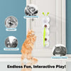 ThrillPlay™ – Ignite Your Cat's Wild Instincts for Endless Energy and Fun