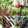 Adjustable Drip Irrigation Nozzles™ - Adjustable Drip Nozzles for Precise Plant Watering