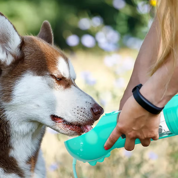 DogViva™ — Instant Hydration Freedom for Happy, Energetic Dogs