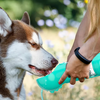 DogViva™ — Instant Hydration Freedom for Happy, Energetic Dogs