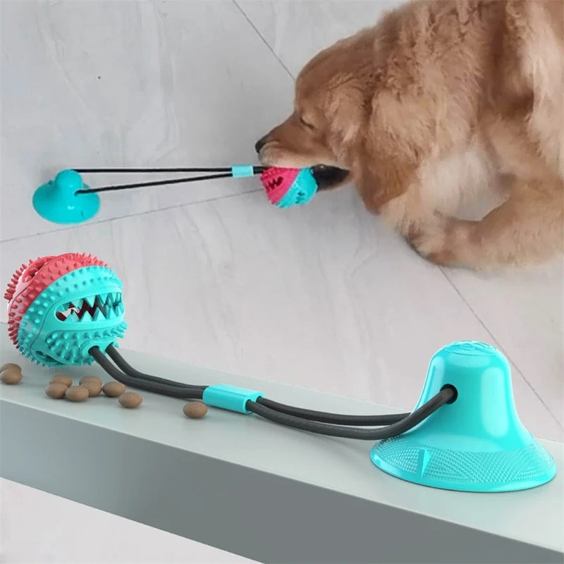 SnackAttack™ - The Ultimate Fun For Your Dog!