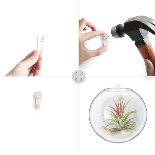 1+1 FREE | Globeo™ Glass Oval Globe Plant Container Wall-Mounted Clear Flower Vase