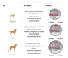 SnugPaw™ - Every dog and cat deserves to lie here