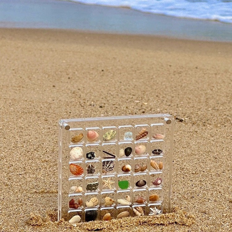 ShellGlo™ - Acrylic Magnet Shell Storage Box