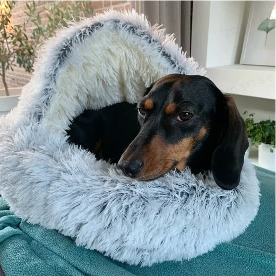 SnugPaw™ - Every dog and cat deserves to lie here