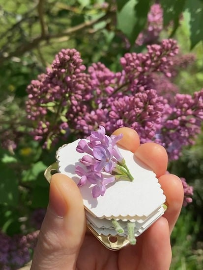 Bloomie™ - Mini Flower Press