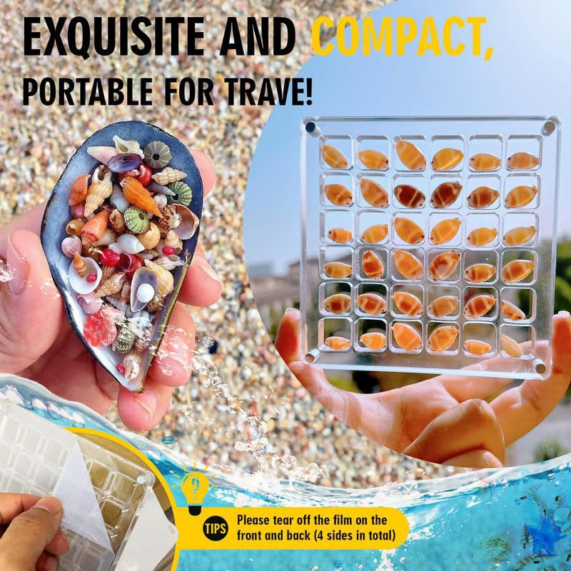 ShellGlo™ - Acrylic Magnet Shell Storage Box