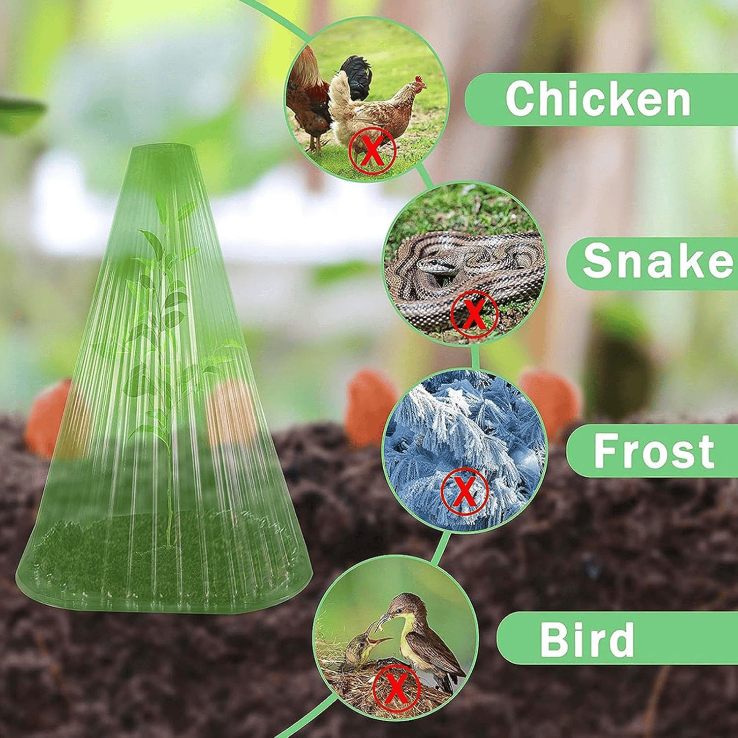 PlantShield™ (10 pieces) - Protection For Your Plants!