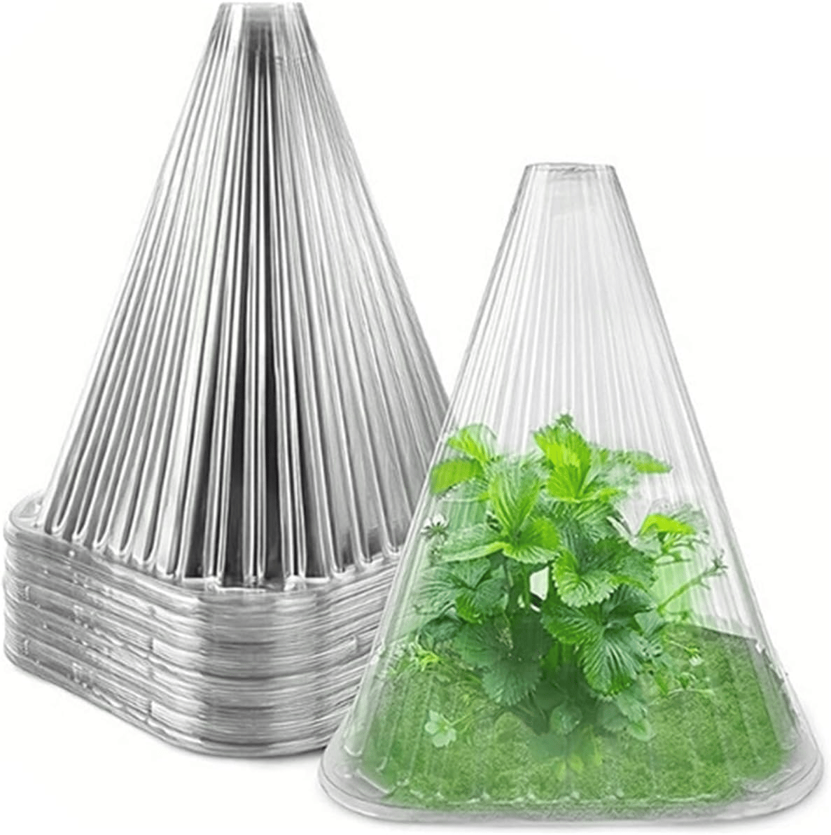 PlantShield™ (10 pieces) - Protection For Your Plants!