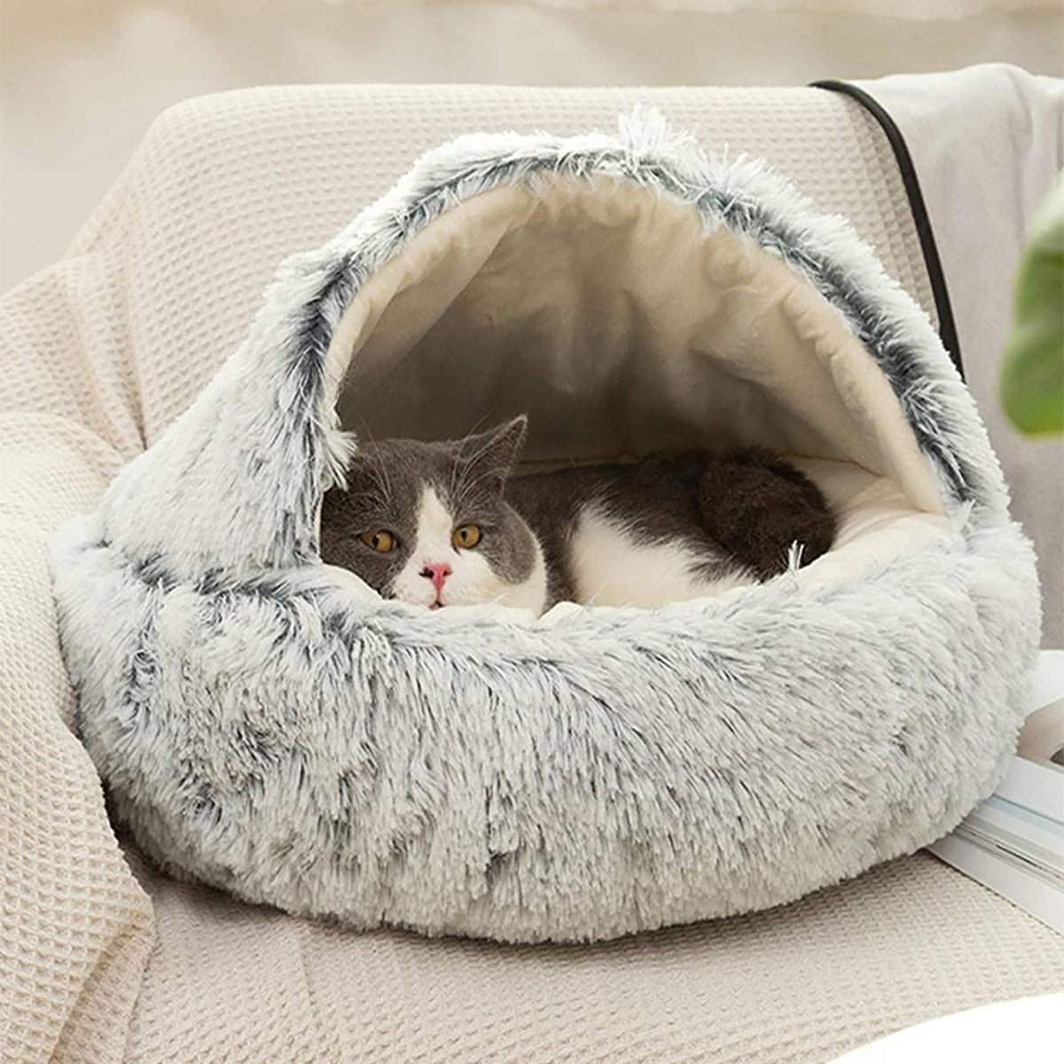 SnugPaw™ - Every dog and cat deserves to lie here