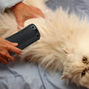 HairSwipe™ - Enhance Your Pet's Grooming Experience with Ease and Elegance!