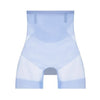 1+1 FREE | Shapex™ Seamless Ice Silk Ultra-Thin Tummy Control Panty