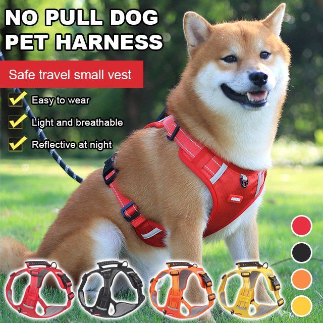 PawGuard™ - Dog Carrier With Leash