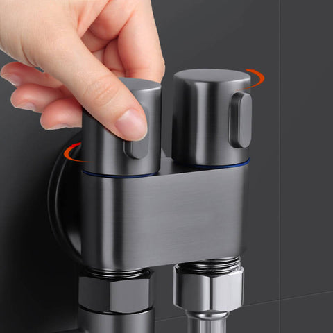 1-in-2 Double Control Valve - Rationalize Your Sanitary Systems